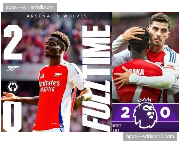 阿森纳31轮仅失22球 拉亚领衔的防线成夺冠最大保障 阿森纳31轮仅失22球 拉亚领衔的防线成夺冠最大保障